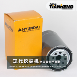 柴油濾芯 現(xiàn)代挖掘機配件 31945-84000