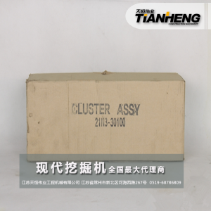 儀表盤 現(xiàn)代挖機(jī)配件 21N3-30100 R80-7