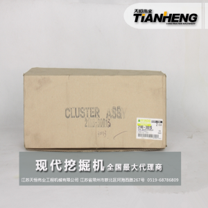 儀表盤 現(xiàn)代挖機(jī)配件 21N8-30013
