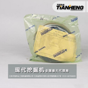 R210W-7/鏟斗油封/現(xiàn)代挖掘機配件