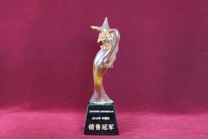 現(xiàn)代挖掘機(jī)中國(guó)區(qū)銷售冠軍2014年