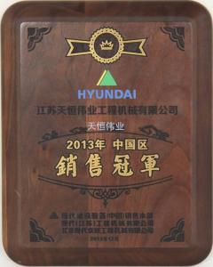 中國(guó)區(qū)現(xiàn)代挖掘機(jī)銷(xiāo)售冠軍2013年